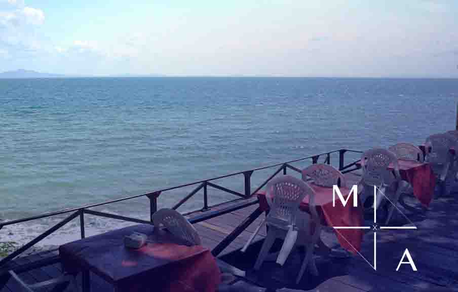 Waterfront Restaurant for Sale in Manly Wharf