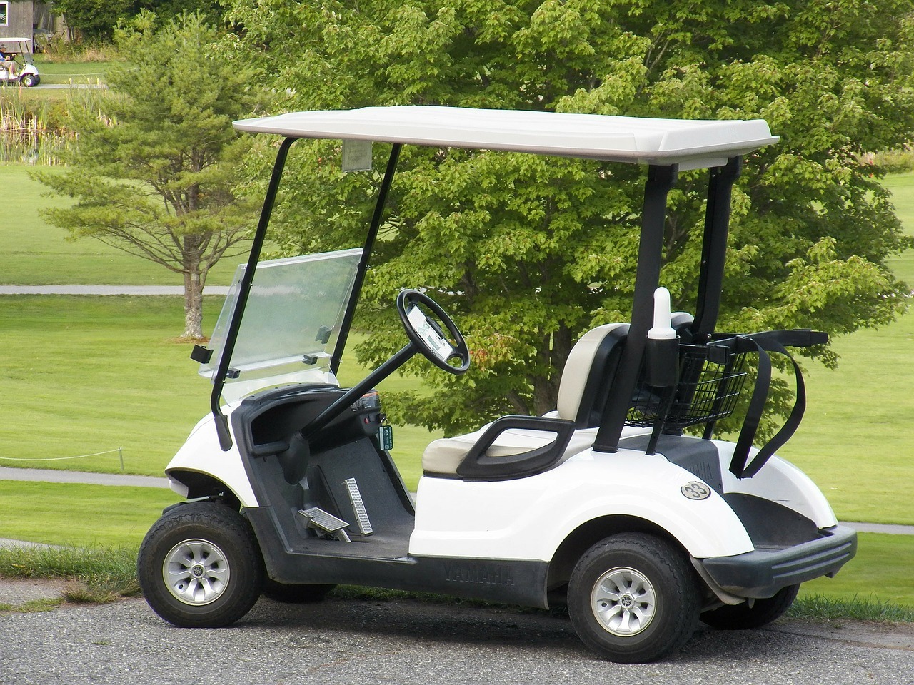 Golf Cart Repairs, Sales & Service, Gold Coast Region | ID: 1042
