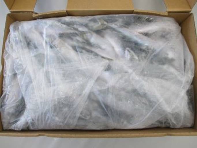 Pacific Mackerel whole round Japan Origin.